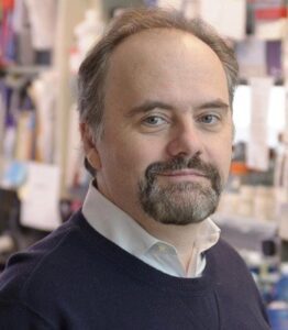dr mark ladanyi