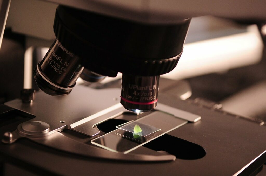 lung cancer research